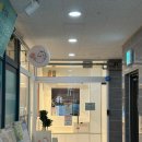 꽃냥 | 안양 꽃냥 고양이미용실 솔직 후기 (고양이 무마취 맞춤 미용 잘하는 곳)