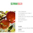 전주청과 이미지