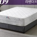 성실가구