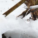 청구약수터 이미지