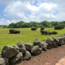 제주에산다면 이미지