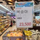 여행] 옥화자연휴양림 물놀이장, 숲체험 놀이터, 휴양관 바베큐장 이용 후기 ( ft. 여기는 아이들의 천국 )
