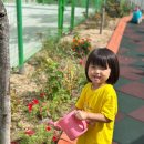 서연어린이집 | 어린이집 부모 상담 후 눈물 찔끔 흘린 후기(조용한 기질 아이 육아 )