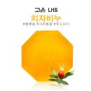 고은LHS