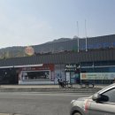 남성주참외(창원) 이미지