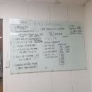로이스크루즈