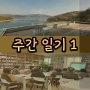 하박국식당 | 한 주간의 일상 새해 첫 주, 필사, 스마트폰 활용교육, 꿈꾸는 산호작은도서관, 경남인생이모작지원센터...