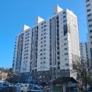 강릉중앙초등학교 이미지