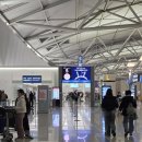 [청도(칭다오) 여행] 산동항공 간단 탑승기(SC4618/4617) 및 청도 출입국 후기