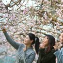 여미하우스 한국공보뉴스