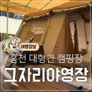 그자리 야영장 | 홍천 그자리야영장 대형견 애견동반 캠핑장 추천 개별 울타리 계곡 물놀이 대형견동반 야영장 솔직후기