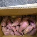 행복한작은고구마 | 김의준 고구마 10kg 내돈내산, 파지 사이즈 실물 후기