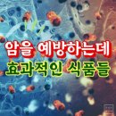 암세포를 파괴하고 암을 예방하는데 효과적인 식품들 - 존스홉킨스대학교(Johns Hopkins University) 이미지