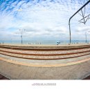 정동진제이 이미지