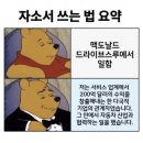 펫그라운드_해방촌 | ~2021.11.22 // 미세먼지와 함께 한 짧은 서울여행