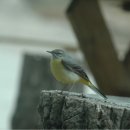 자연사랑펜션 이미지