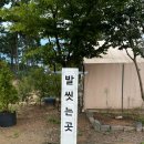 휘파람 펜션 | 태안 가든 글램핑 캠핑장에서 2박3일 애견동반 (ft.17개월 쌍둥이, 글램핑 텐트 모두이용)