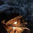 오늘바람어때 이미지