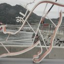 쑥섬이야기
