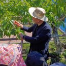 수원-1573 이미지