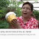 집안 분위기 살리는 화초기르기 이미지