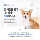 다산동물병원 이미지