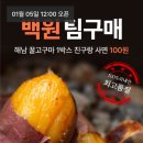 끝났어요‼️‼️ 지그재그 해남 꿀고구마 3kg 100원 이미지