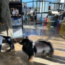 멍인더숲 목욕탕 이미지