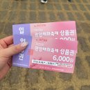 지막상점 | 오매불망 기다린 광양매화축제 올해는 100% 만개 2026.3.22.방문