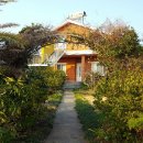 사과나무김밥집 이미지