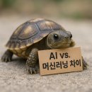 쉽게 배우는 인공지능(AI) | AI와 머신러닝의 차이, 딱 5분이면 끝! 예시로 쉽게 배우는 인공지능 원리