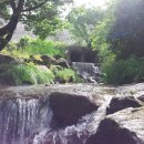 계곡풍경 이미지