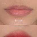 팽브로우 이미지