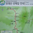 1월 정기산행 오대산 비로봉(1,563m)-상왕봉 & 선재길 설국으로의 초대 이미지