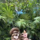 오케이팜 | [칸쿤 신혼여행] 스칼렛아르떼 레스토랑 드레스코드 완벽 정리 팜투어