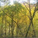 가창중학교 이미지