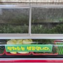 다라물돌솥쌈밥 네이버블로그