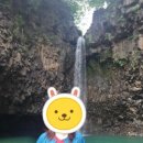 (주)쥬비스다이어트 성북점 네이버블로그