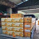 삼칠농장 이미지