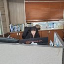 토박이공인중개사사무소 이미지