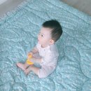 [비바+272] 떼쟁이, 또다시 안자기 시작