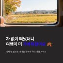 여행의 기술 | 기름값 걱정 없이 떠났더니, 오히려 더 좋은 여행이었습니다 — 뚜벅이 국내 여행 실전 후기