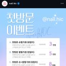 고래와치보