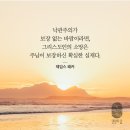 희망 Daum카페