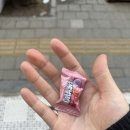 상미옥 이미지