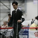 유어펫 라운지 강아지분양 네이버블로그