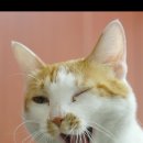 희망동물병원 이미지