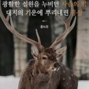 금산홍삼랜드 이미지