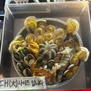 샤로수길 맛집 숙이네조개전골 내돈내산 웨이팅 후기