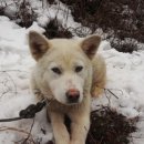 소가산농장 이미지